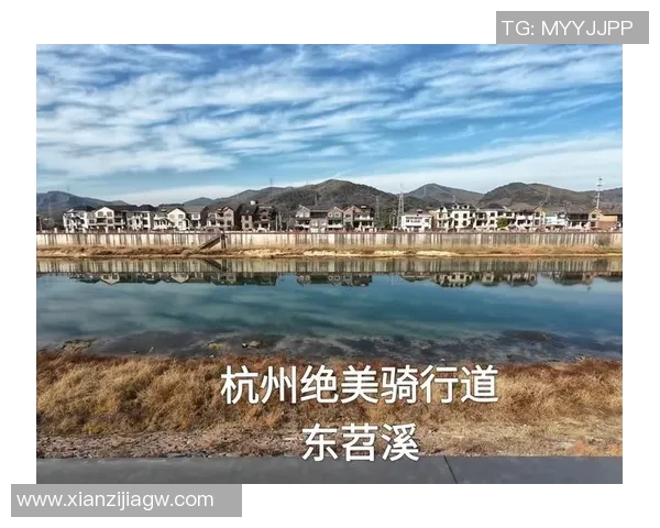 杭州滑板队灵活性引发热议运动员表现与训练方式的深度探讨