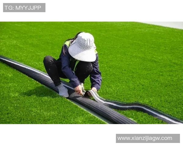 打造理想家庭足球草坪的秘诀与维护技巧分享